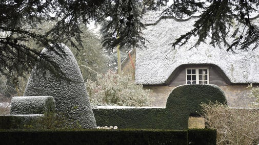 A thatched cottage with a dusting of snow, hedges and topiary in the foreground